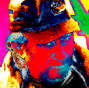 Avatar du membre